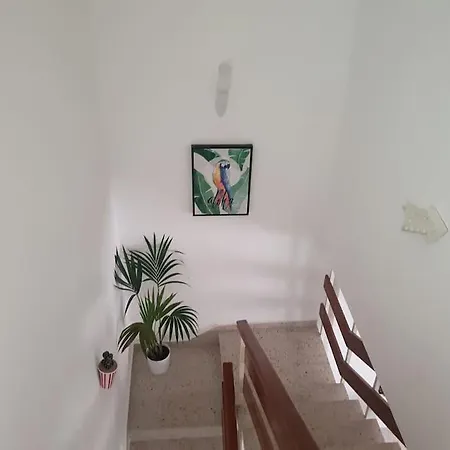 Duplex En El Corazon De Lejlighed *